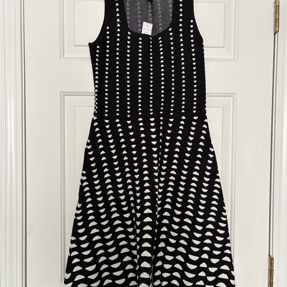 Ann Taylor Black & White Sleeveless A-Line Dress